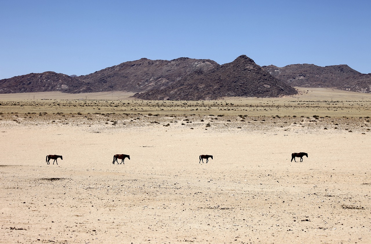 How Droughts Impact Global Crop Production